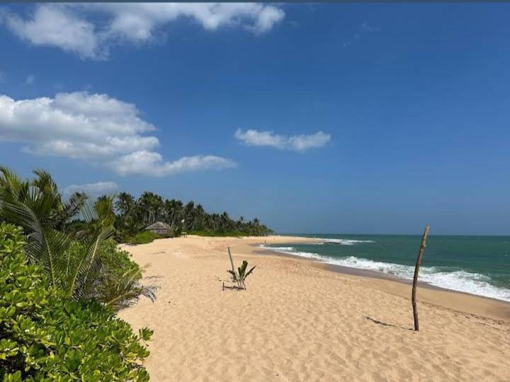 Hotel Golden Bell Tangalle Eksteriør billede
